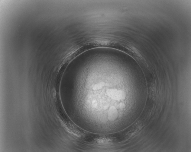 X0000060560500200511101607