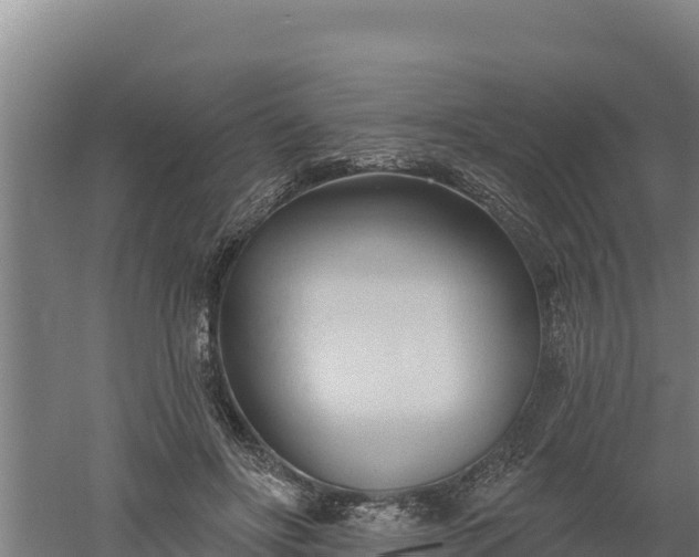 X0000060560502200511101607