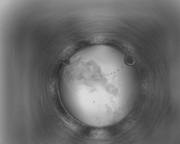 X0000060560503200511101607