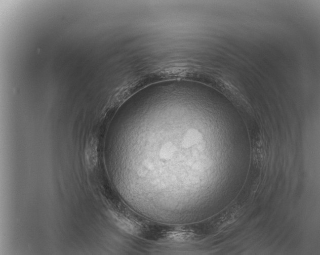 X0000060560504200511101607