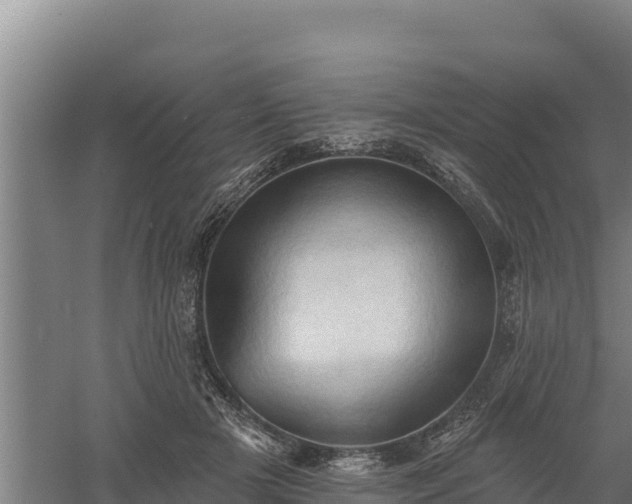 X0000060560505200511101607