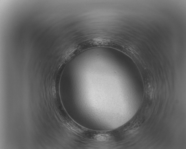 X0000060560508200511101607