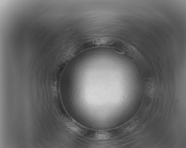 X0000060560510200511101607