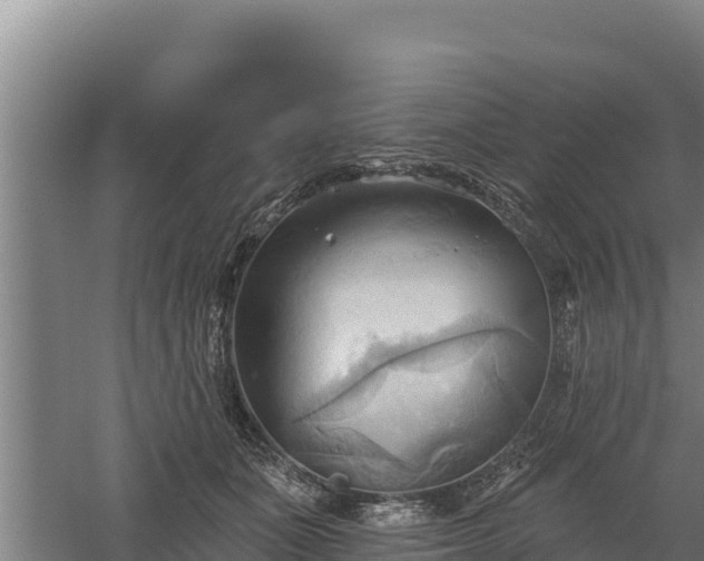 X0000060560511200511101607