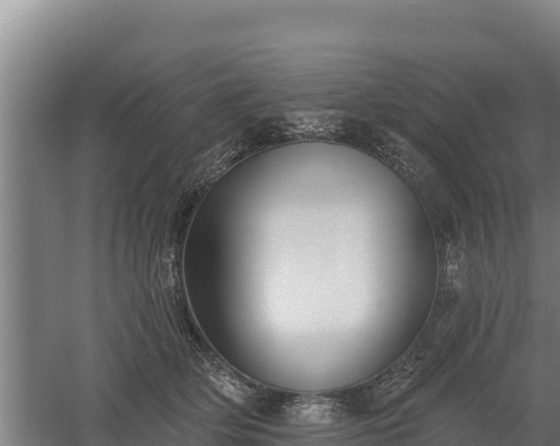 X0000060560514200511101607