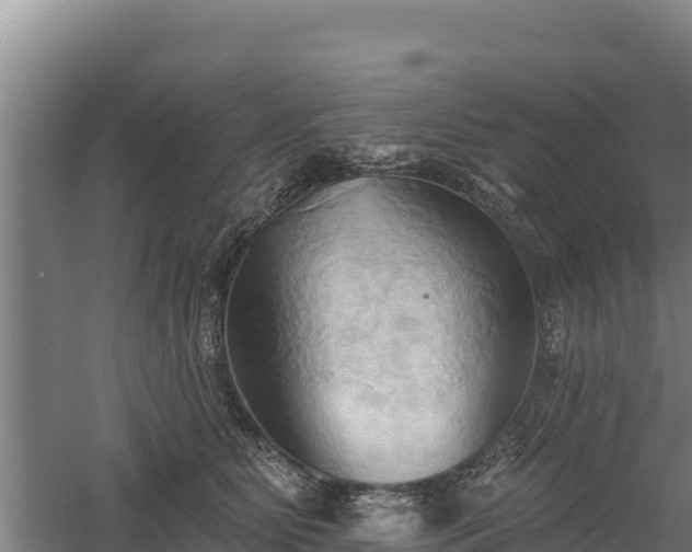 X0000060560515200511101607