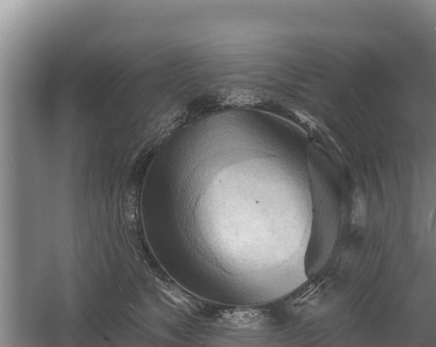 X0000060560517200511101607