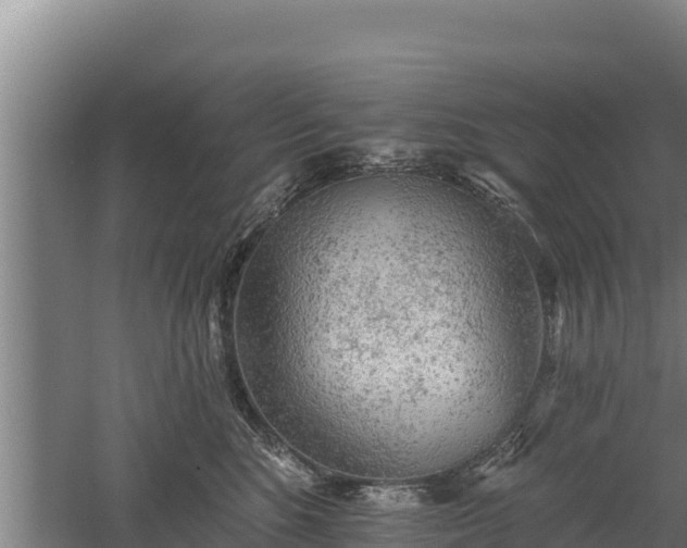 X0000060560520200511101607