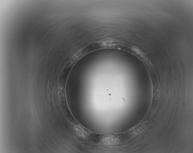 X0000060560521200511101607