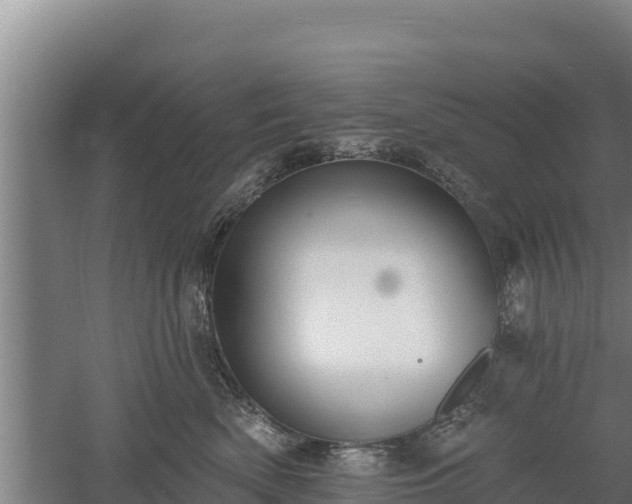 X0000060560522200511101607