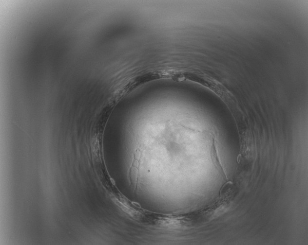 X0000060560523200511101607