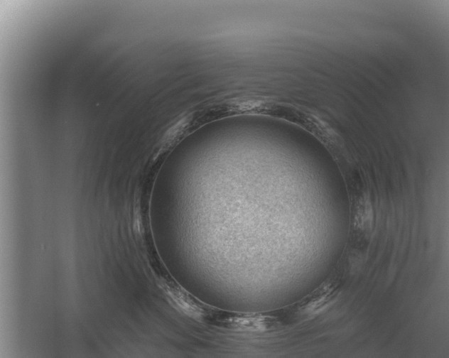 X0000060560524200511101607