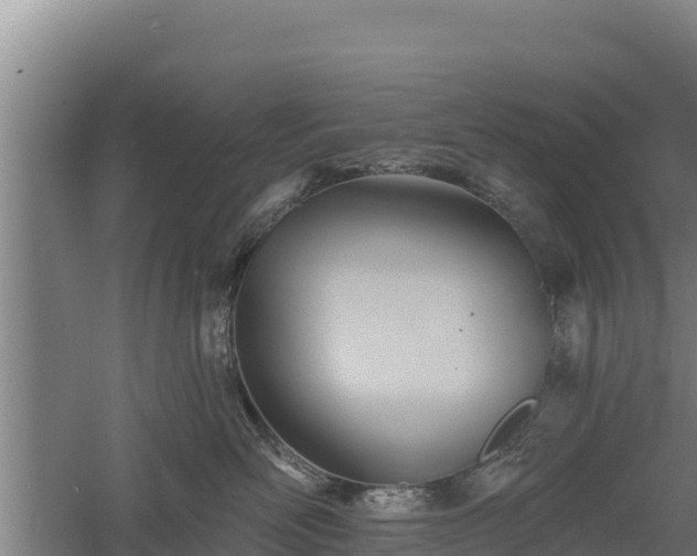 X0000060560526200511101607