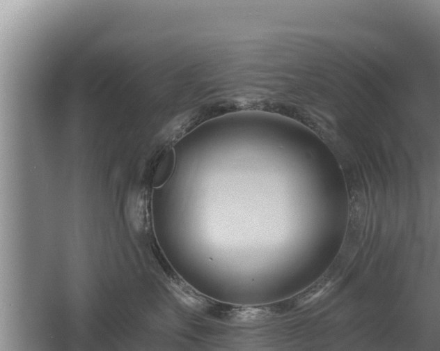 X0000060560527200511101606