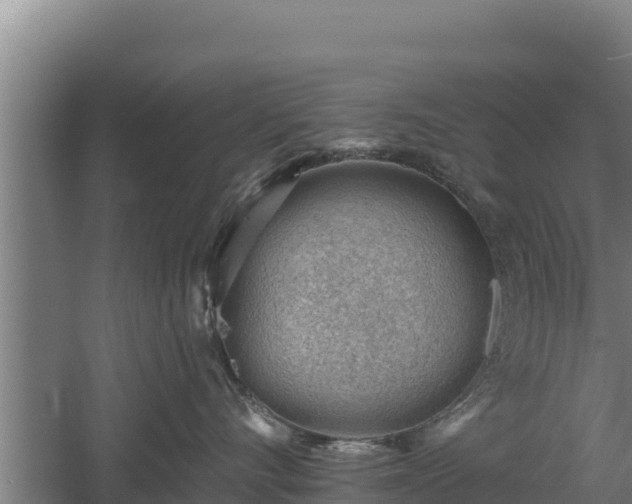 X0000060560528200511101606