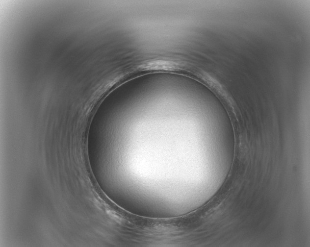 X0000060560529200511101606