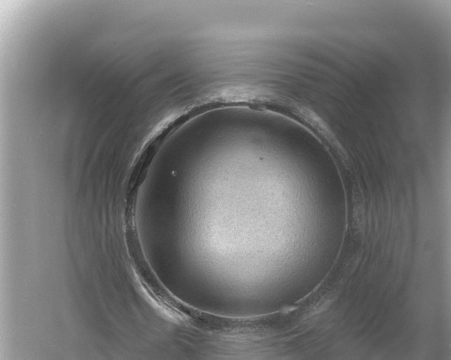 X0000060560530200511101606