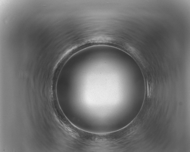 X0000060560531200511101606