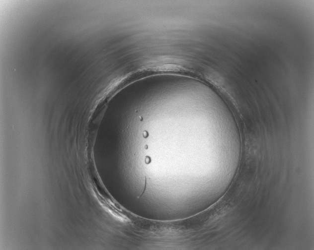 X0000060560533200511101606