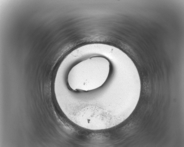 X0000060560534200511101606