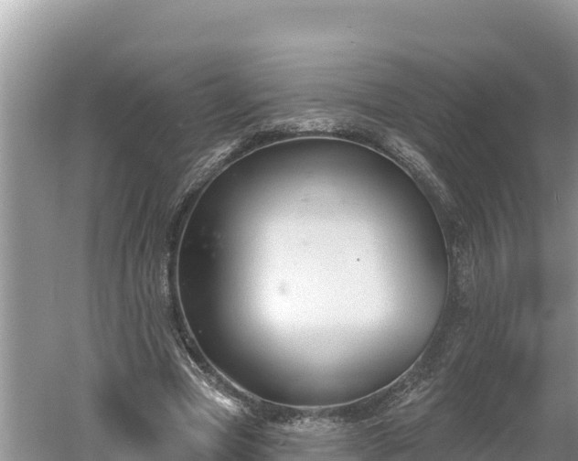 X0000060560537200511101606