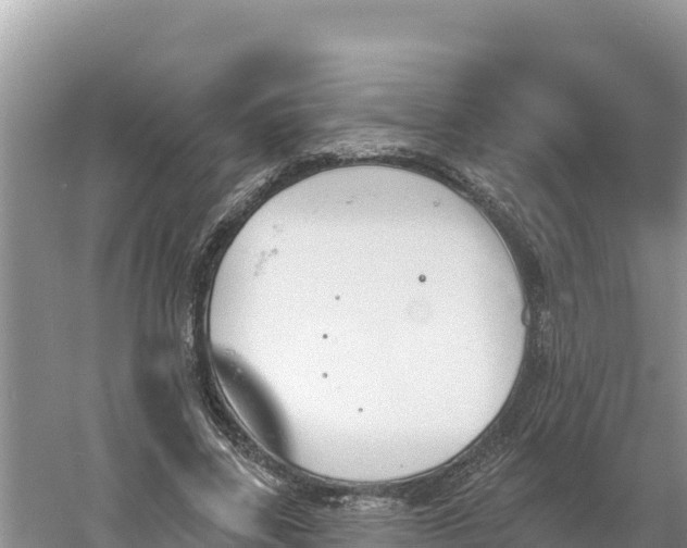 X0000060560539200511101606