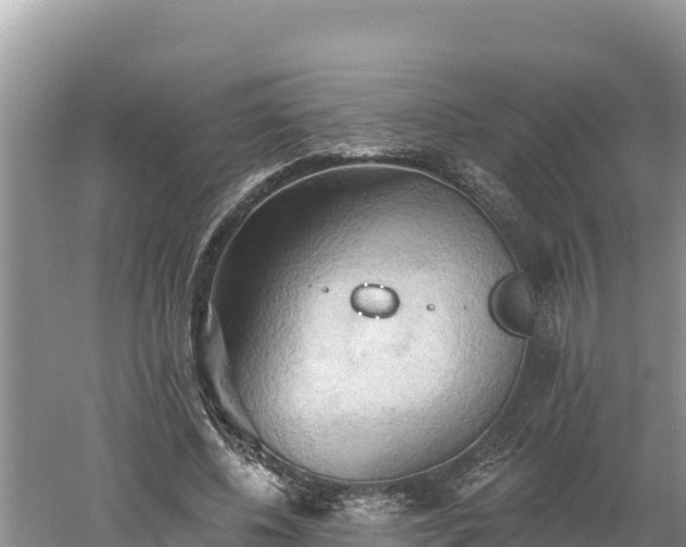 X0000060560540200511101606