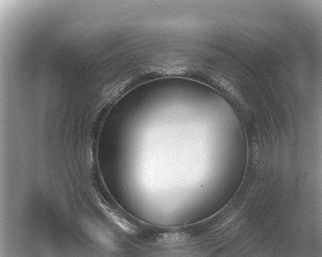 X0000060560541200511101606