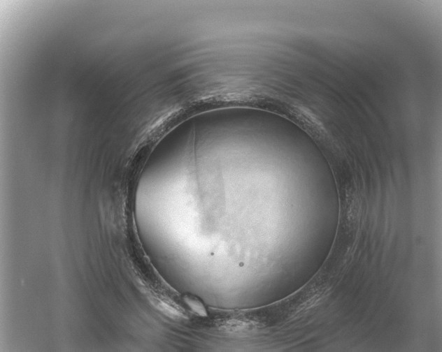 X0000060560542200511101606