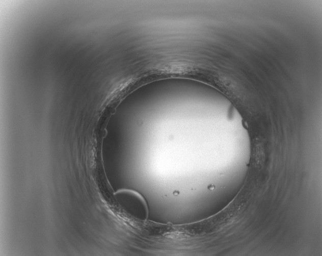 X0000060560544200511101606