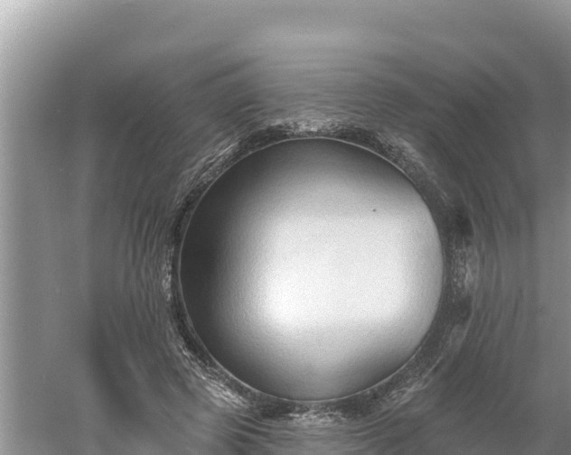 X0000060560545200511101606