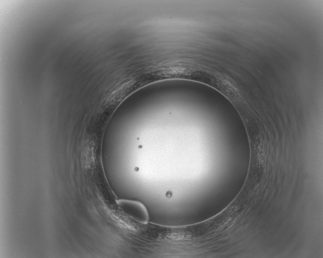 X0000060560546200511101606