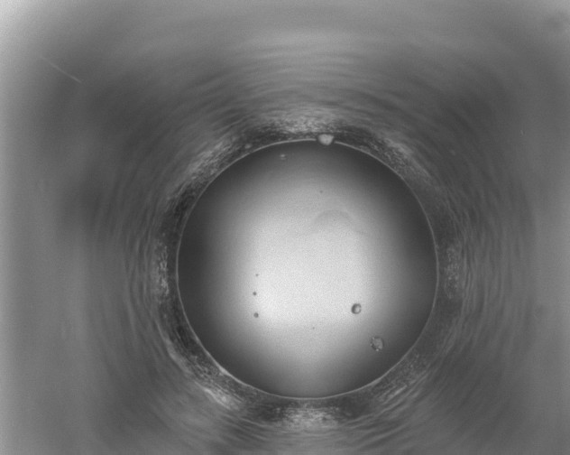 X0000060560547200511101606