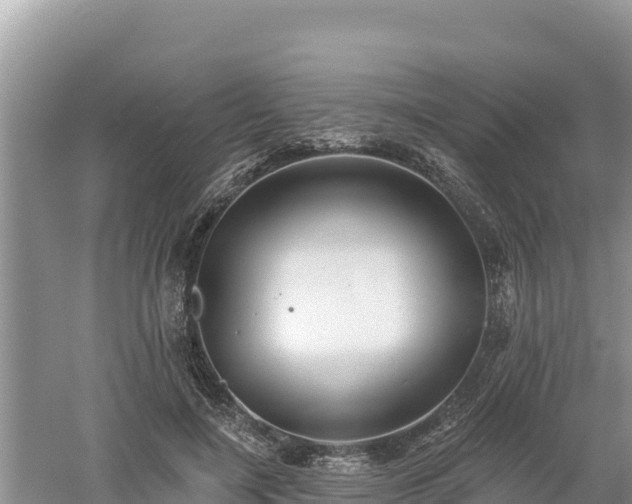 X0000060560548200511101606