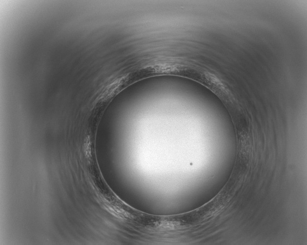 X0000060560549200511101606