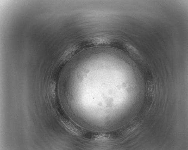 X0000060560550200511101606