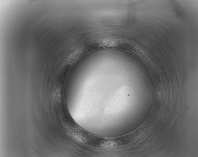 X0000060560551200511101606