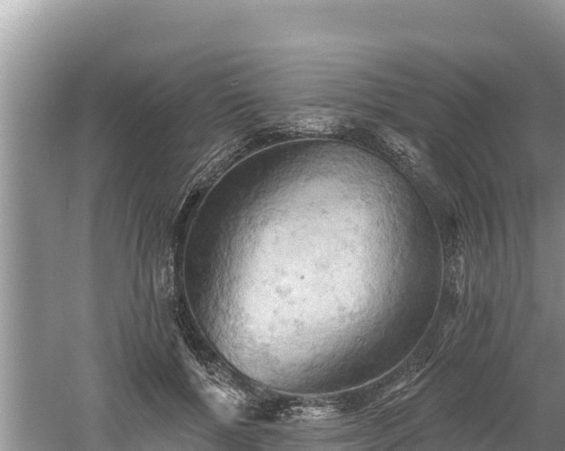 X0000060560552200511101606