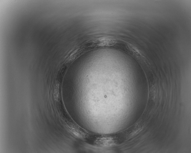 X0000060560554200511101606