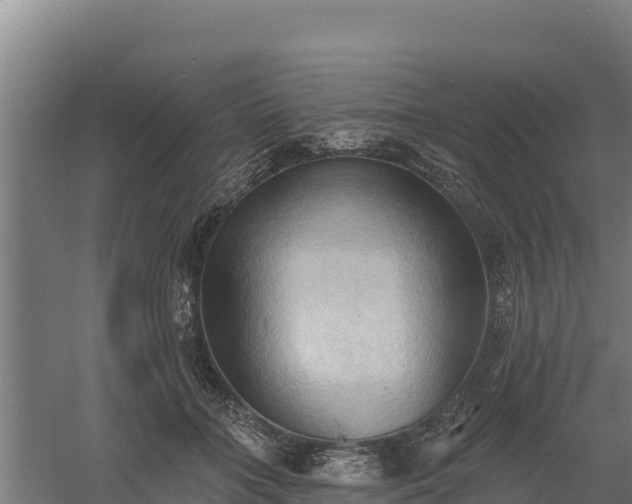 X0000060560555200511101606