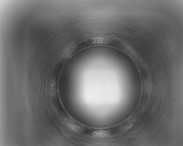 X0000060560557200511101606