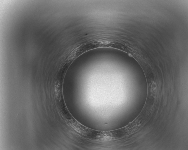 X0000060560559200511101606