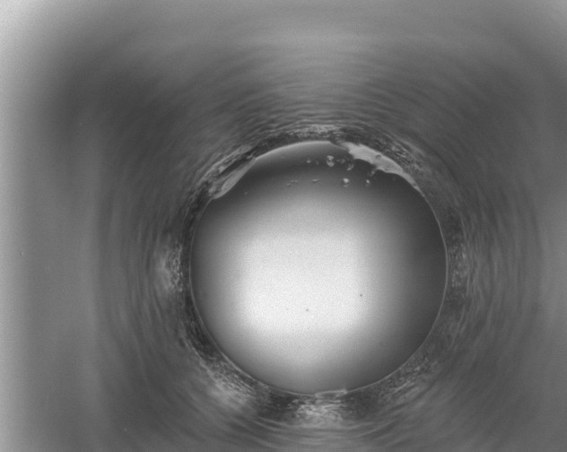 X0000060560560200511101606