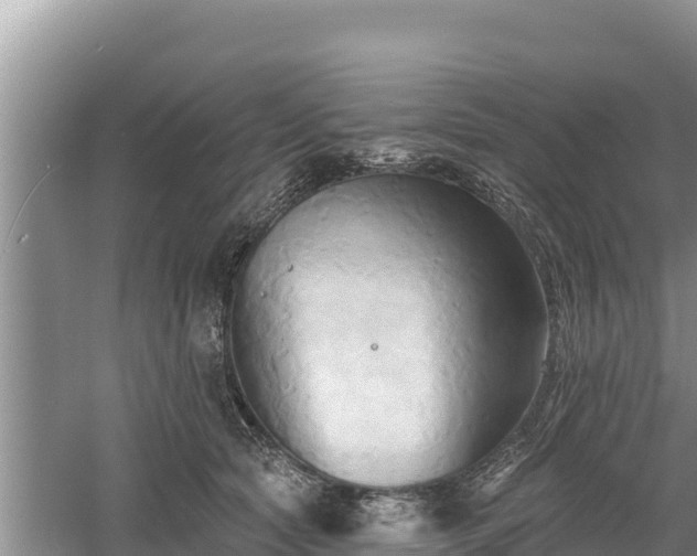 X0000060560561200511101606