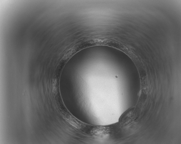 X0000060560563200511101606