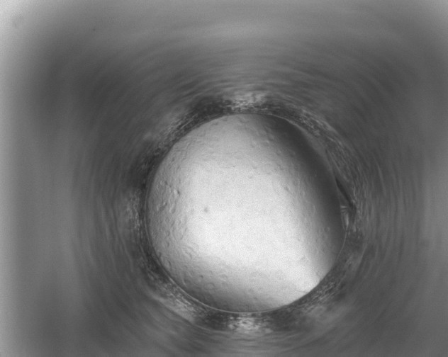 X0000060560565200511101606