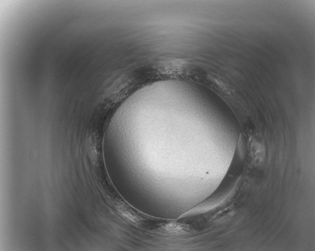 X0000060560566200511101606