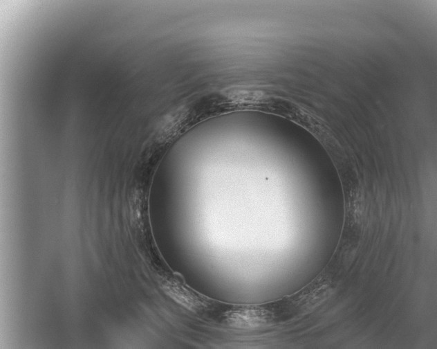 X0000060560567200511101606