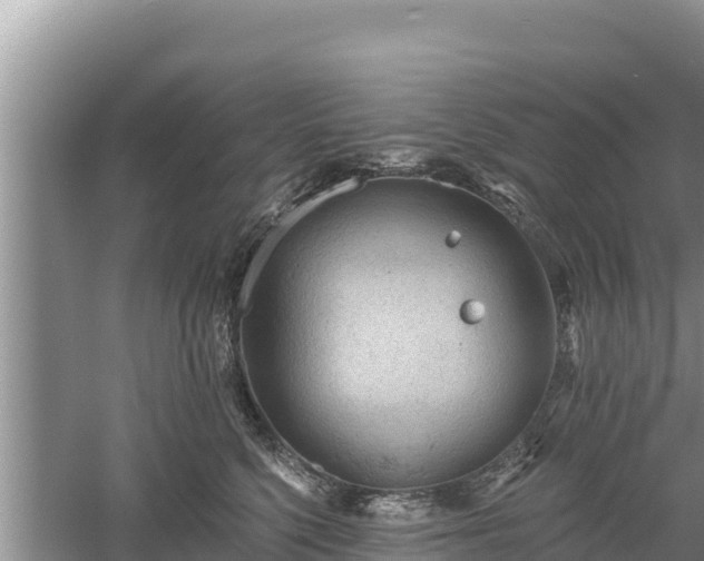 X0000060560568200511101606