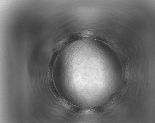 X0000060560569200511101606